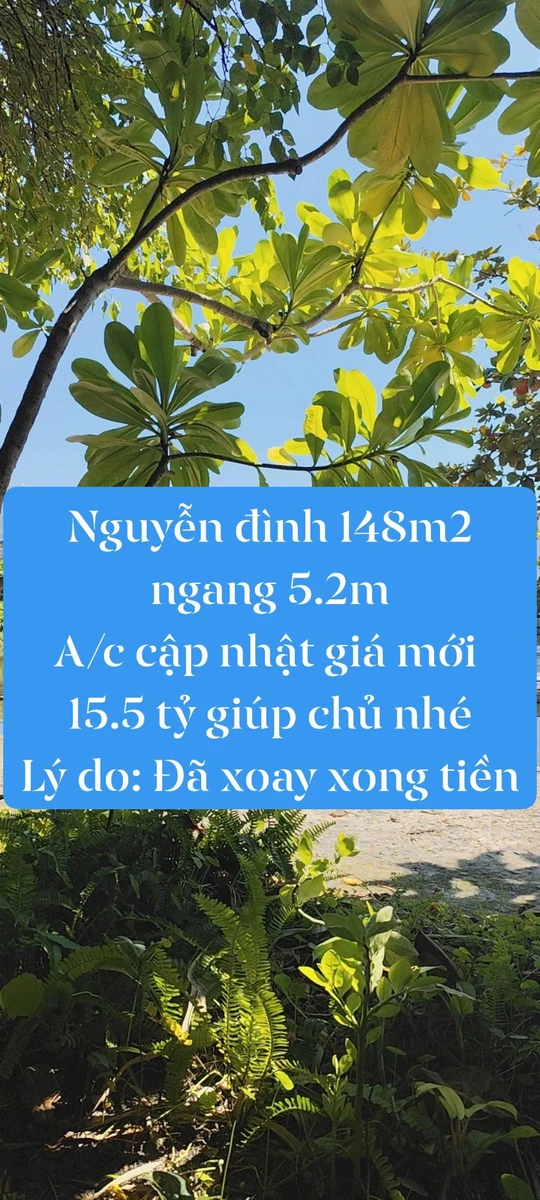 Bán nhà phố Nguyễn Đình Dường 148m2, 15.5 tỷ, Đà Nẵng - Ảnh 1