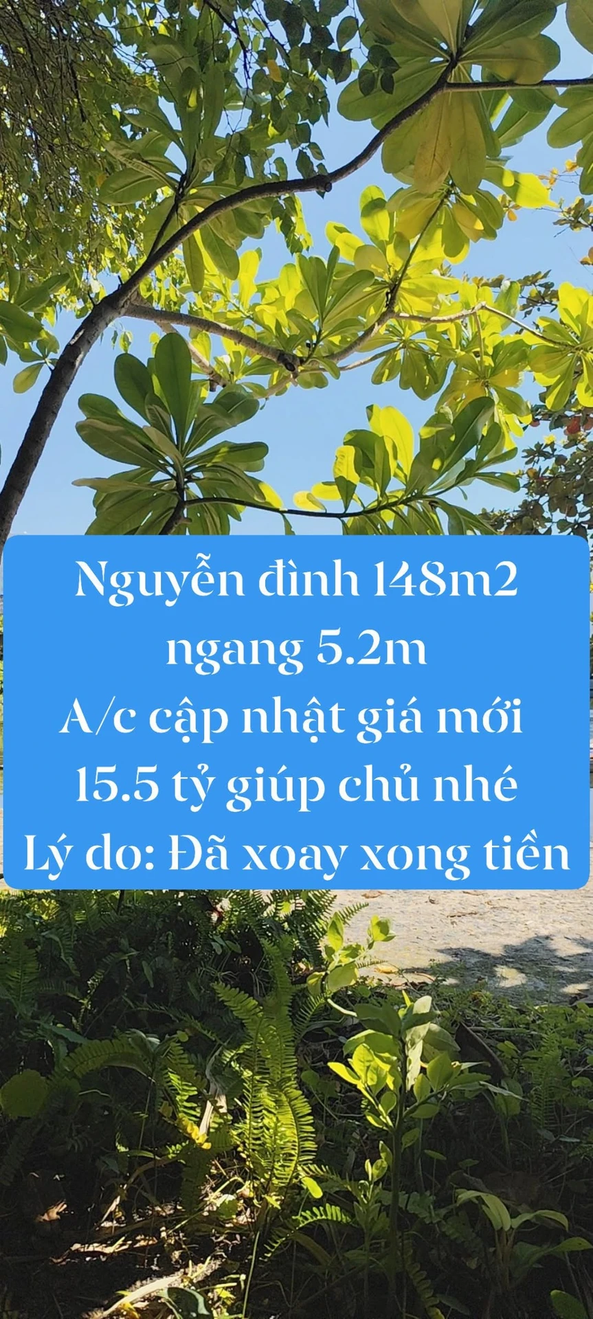 Bán nhà phố Nguyễn Đình Dường 148m2, 15.5 tỷ, Đà Nẵng - Ảnh 1