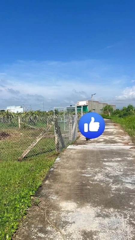 Bán đất vườn cao ráo ~1 sào Phan Thiết 479 triệu