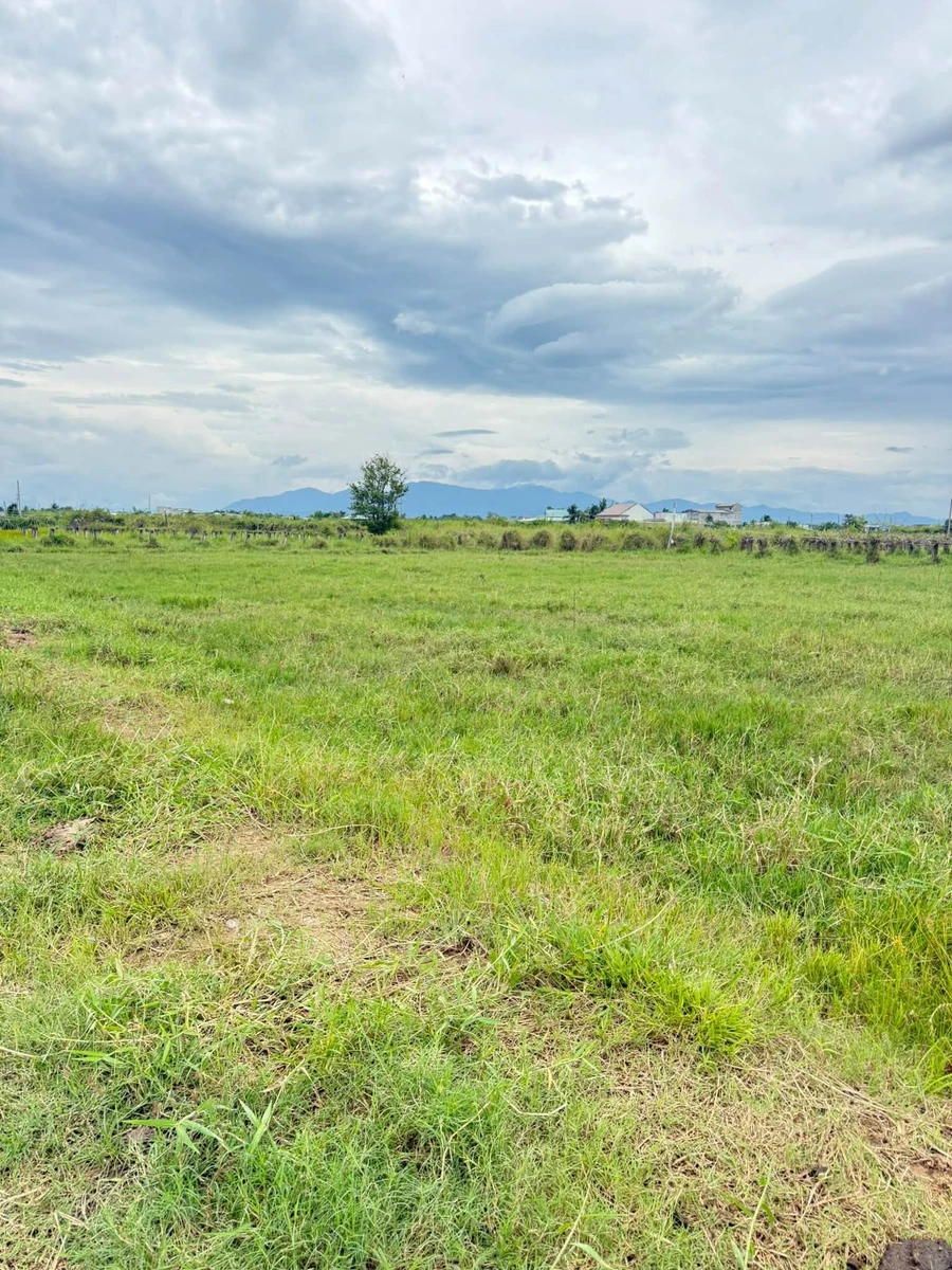 Bán đất 1100m² Phan Thiết 429 triệu - Ảnh thu nhỏ 3