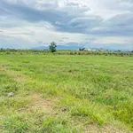 Bán đất 1100m² Phan Thiết 429 triệu - Ảnh thu nhỏ 3