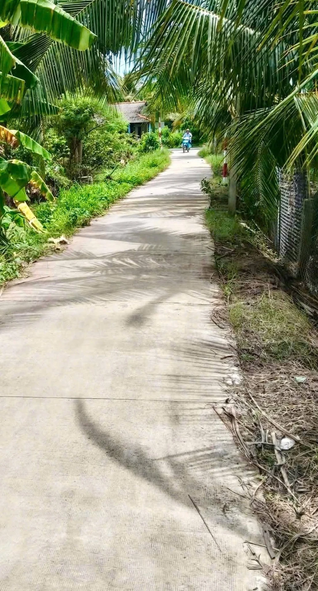 Bán đất vườn 507m² view kênh Đồng Tháp 415 triệu - Ảnh 1