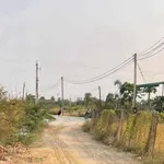 Bán lô đất 1000m² tại Hàm Thắng, Bình Thuận 1 tỷ 250 - Ảnh thu nhỏ 2