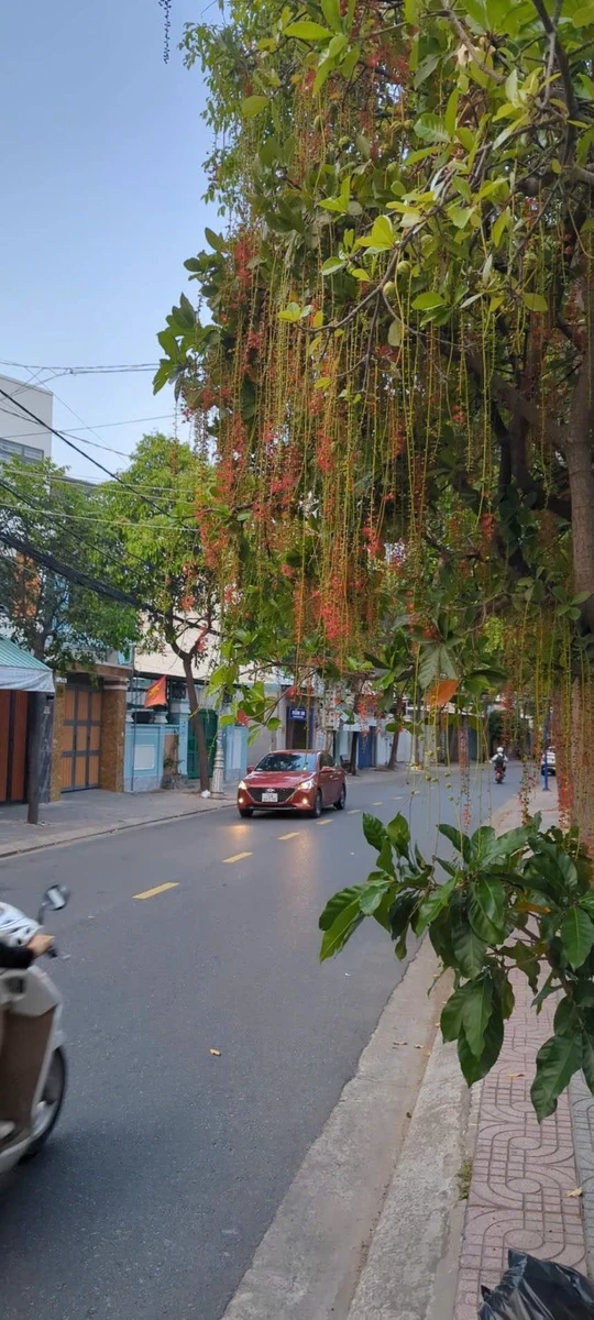 Bán đất mặt tiền 93m2 Rạch Dừa Vũng Tàu 6.5 tỷ - Ảnh 1