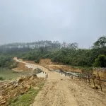 Bán đất đẹp nhiều tiện ích gần trung tâm thị trấn Măng Đen, Măng Đen, 3,2 tỷ, 16812,6m2 - Ảnh thu nhỏ 9