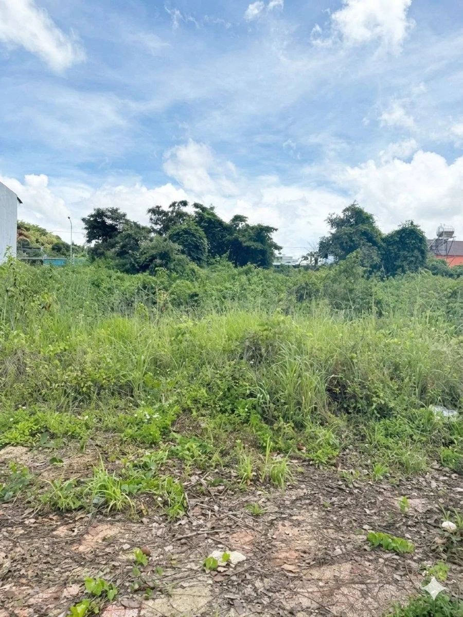 Bán đất Bờ Đông Lâm Đồng 150.5m² giá 2 tỷ 300 triệu - Ảnh thu nhỏ 2