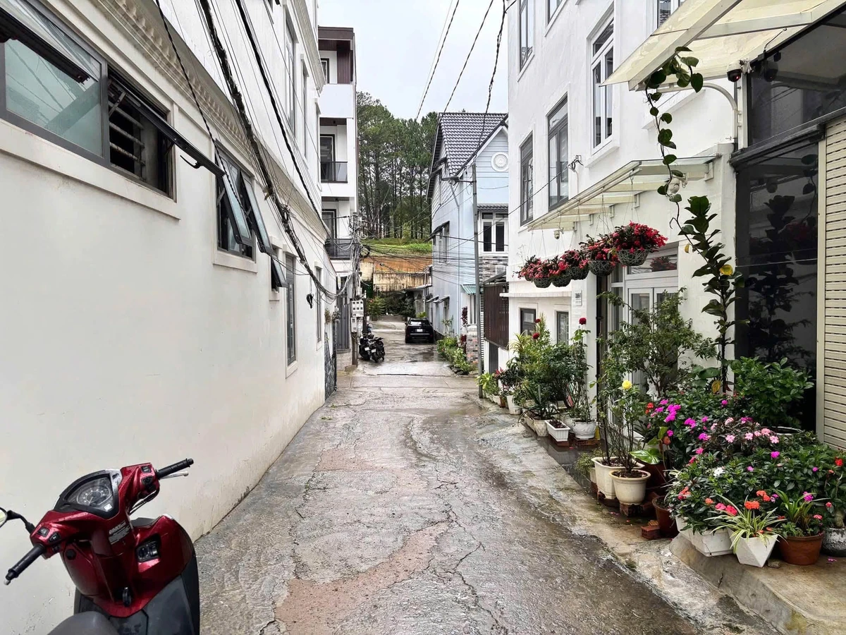 Bán đất Bùi Thị Xuân, Đà Lạt 48.2m² 6 tỷ - Ảnh 1