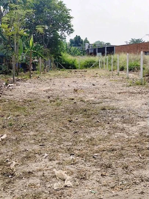 Bán đất mặt tiền Hương Lộ 15, sổ riêng, 5x26m, 5x29m bdsbinhthuan