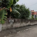 Bán lô đất 177m² Nam Hưng-Nam Phú, giá 1,8 tỷ - Ảnh thu nhỏ 2