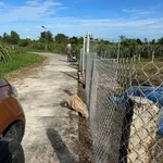 Bán gấp 1 sào đất CLN Hàm Liêm, Hóc Môn 479 triệu - Ảnh thu nhỏ 1