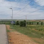Bán đất 4800 m² mặt tiền Đường 715, Xã Hoà Thắng, HBB - Ảnh thu nhỏ 2