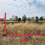 Bán đất thổ cư 100m² KDC Daresco, Đức Hòa 1 tỷ 175 triệu - Ảnh thu nhỏ 1
