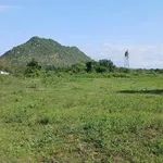 Bán đất 9.240m² tại Bắc Bình, Bình Thuận, giá 2,1 tỷ - Ảnh thu nhỏ 4