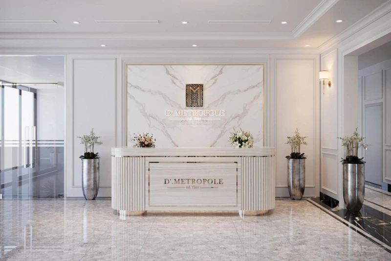 Chung cư VIP, thành phố Hà Tĩnh D'Metropole Hà Tĩnh
