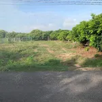 Bán đất hẻm 256m² Nguyễn Lương Bằng 496 triệu - Ảnh thu nhỏ 2