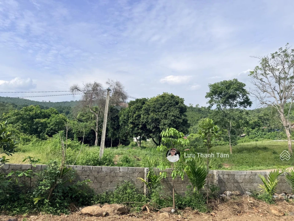 Bán gấp 2.000m2 có 200m2 thổ cư 2 mặt tiền chạy quanh đất - Ảnh thu nhỏ 5