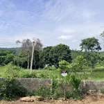 Bán gấp 2.000m2 có 200m2 thổ cư 2 mặt tiền chạy quanh đất - Ảnh thu nhỏ 5