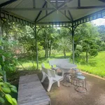 Bán gấp lô đất 4100m2 view rừng thông đường Mimoza, Đà Lạt giá 8,5 tỷ - Ảnh thu nhỏ 4