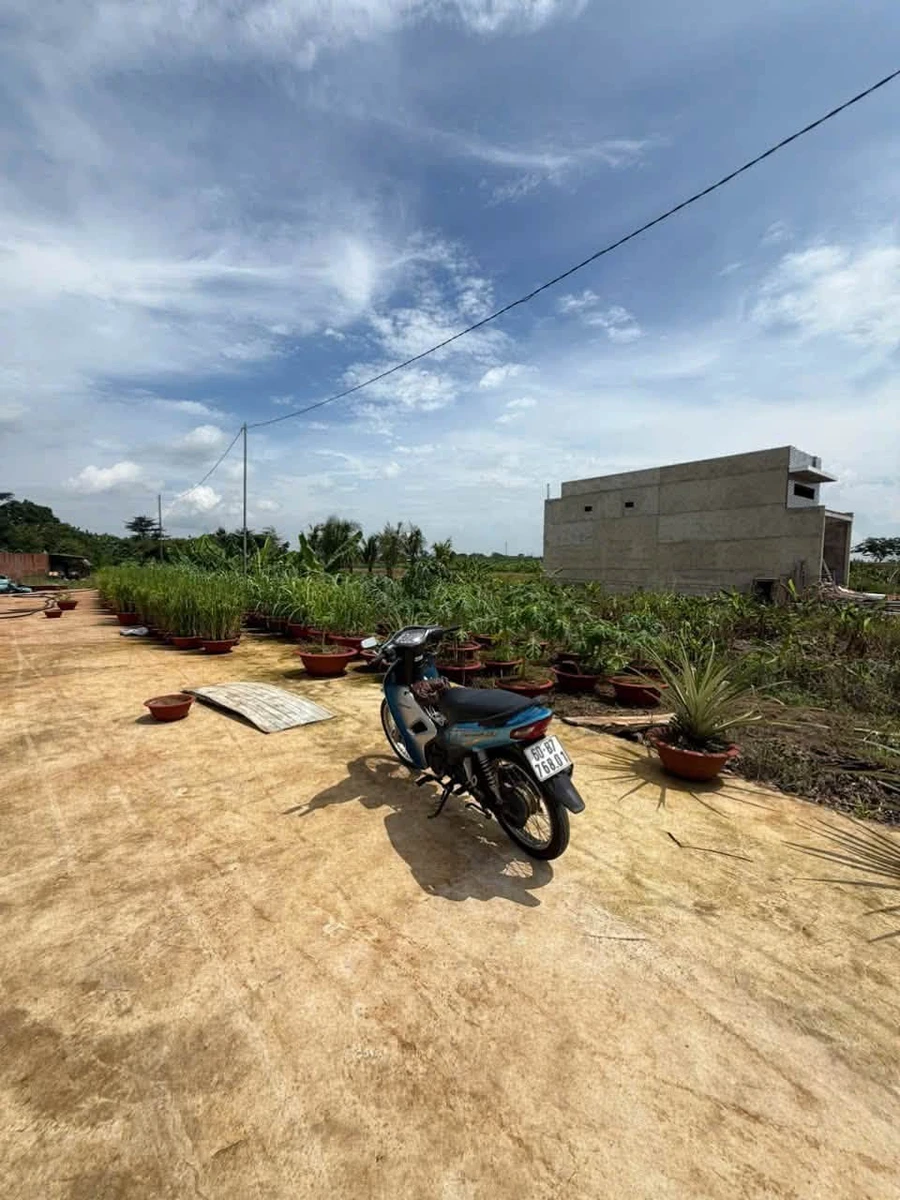 Bán đất 190m² gần Song Hành Gia Phát Gia Kiệm 2.5 tỷ - Ảnh thu nhỏ 2