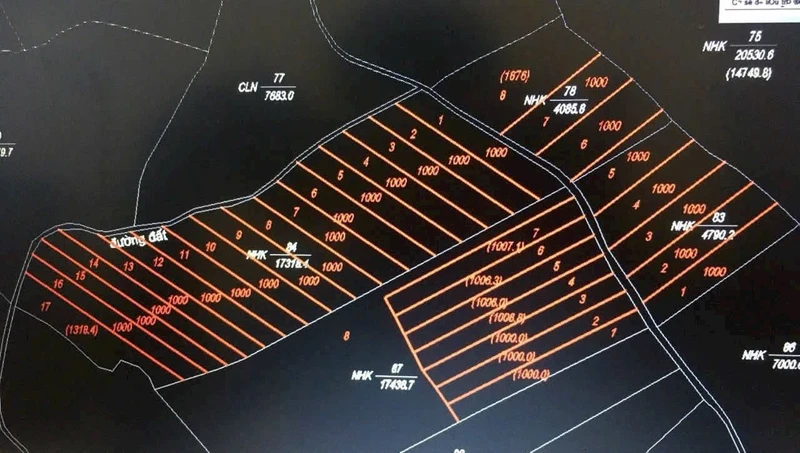 Bán đất 4,5ha tại Đắk R'La, Đắk Mil, Đắk Nông giá 2,5 tỷ