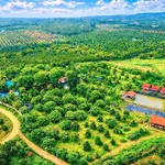 Bán đất nông nghiệp 25.000m2 Nam Cát Tiên Đồng Nai, 450 cây sầu riêng - Ảnh thu nhỏ 4