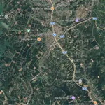 Bán vườn cà phê 2,8ha giáp hồ Đắk Hà, giá 4,399 tỷ - Ảnh thu nhỏ 2