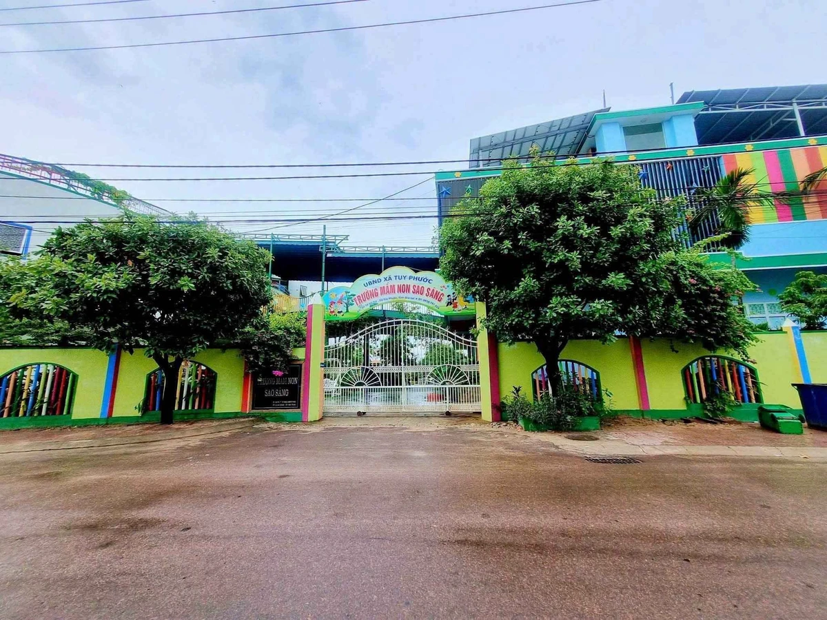 Bán lô đất mặt tiền 96m2 khu Công Chánh, Tuy Phước 1.2 tỷ - Ảnh 1