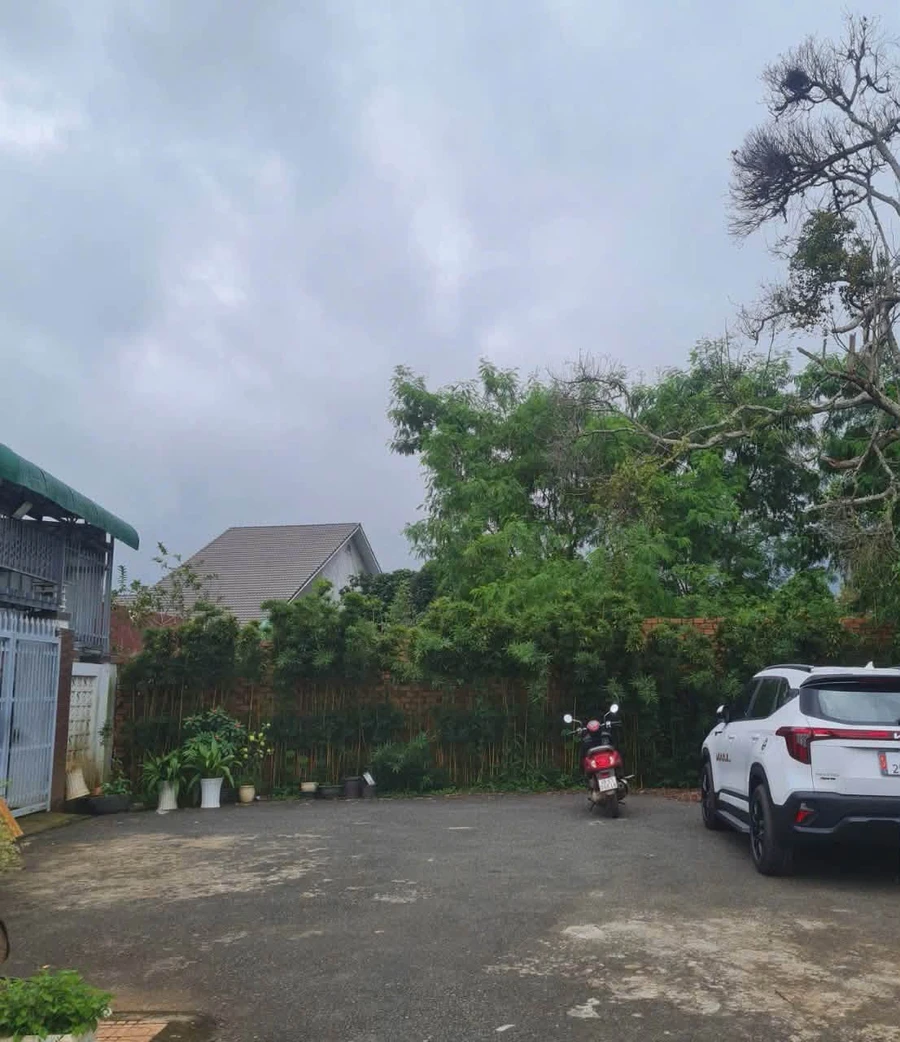 Đất bán Phú Hội 1.367,7m² thổ cư 800m² 9 tỷ - Ảnh thu nhỏ 3