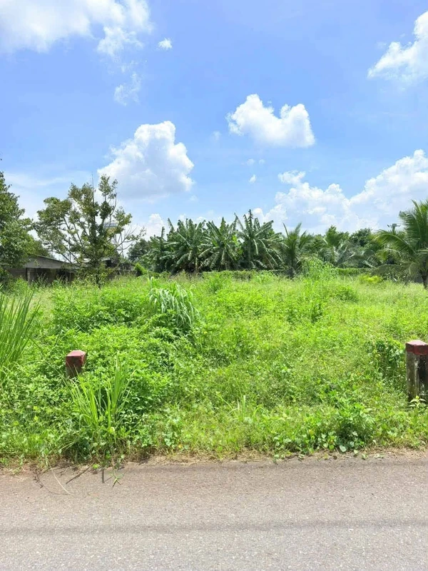 Bán đất Suối Chồn Long Khánh 135m² 1,1 tỷ