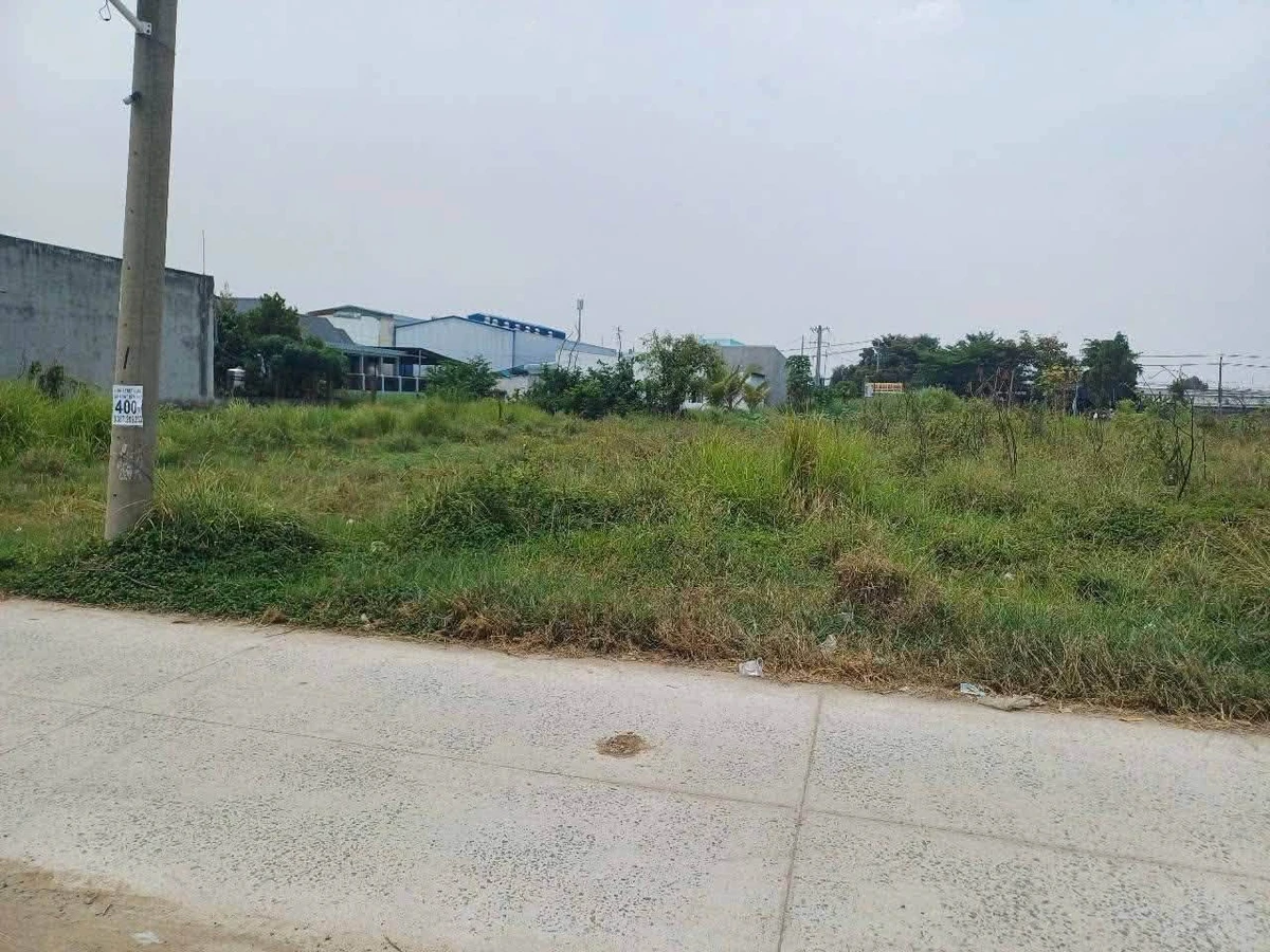 Bán đất thổ cư 11,6x43m hẻm nhựa Nguyễn Văn Dương, Đức Hòa Đông, giá 4,8 tỷ - Ảnh thu nhỏ 2