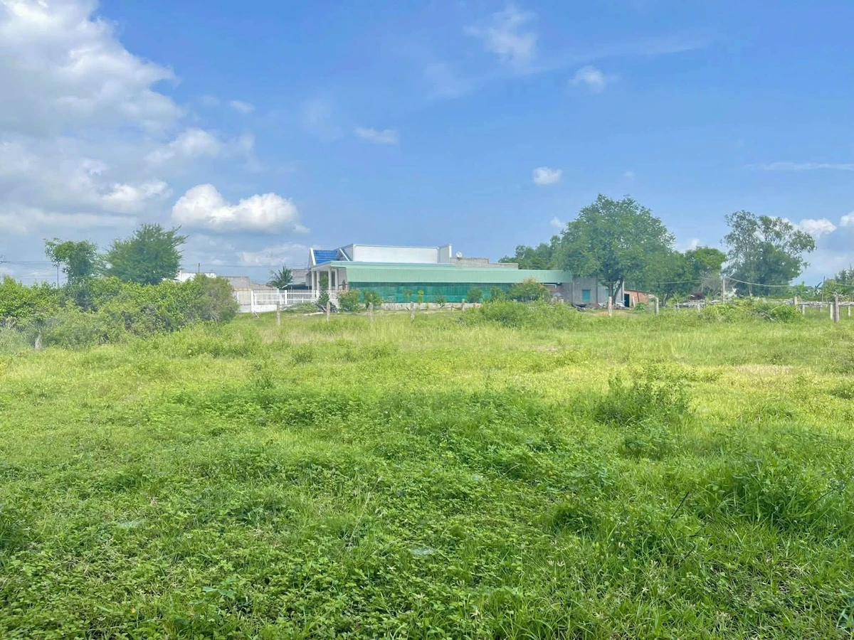 Bán lô đất 1094m2 thôn Bình An, Lâm Đồng - Ảnh thu nhỏ 4