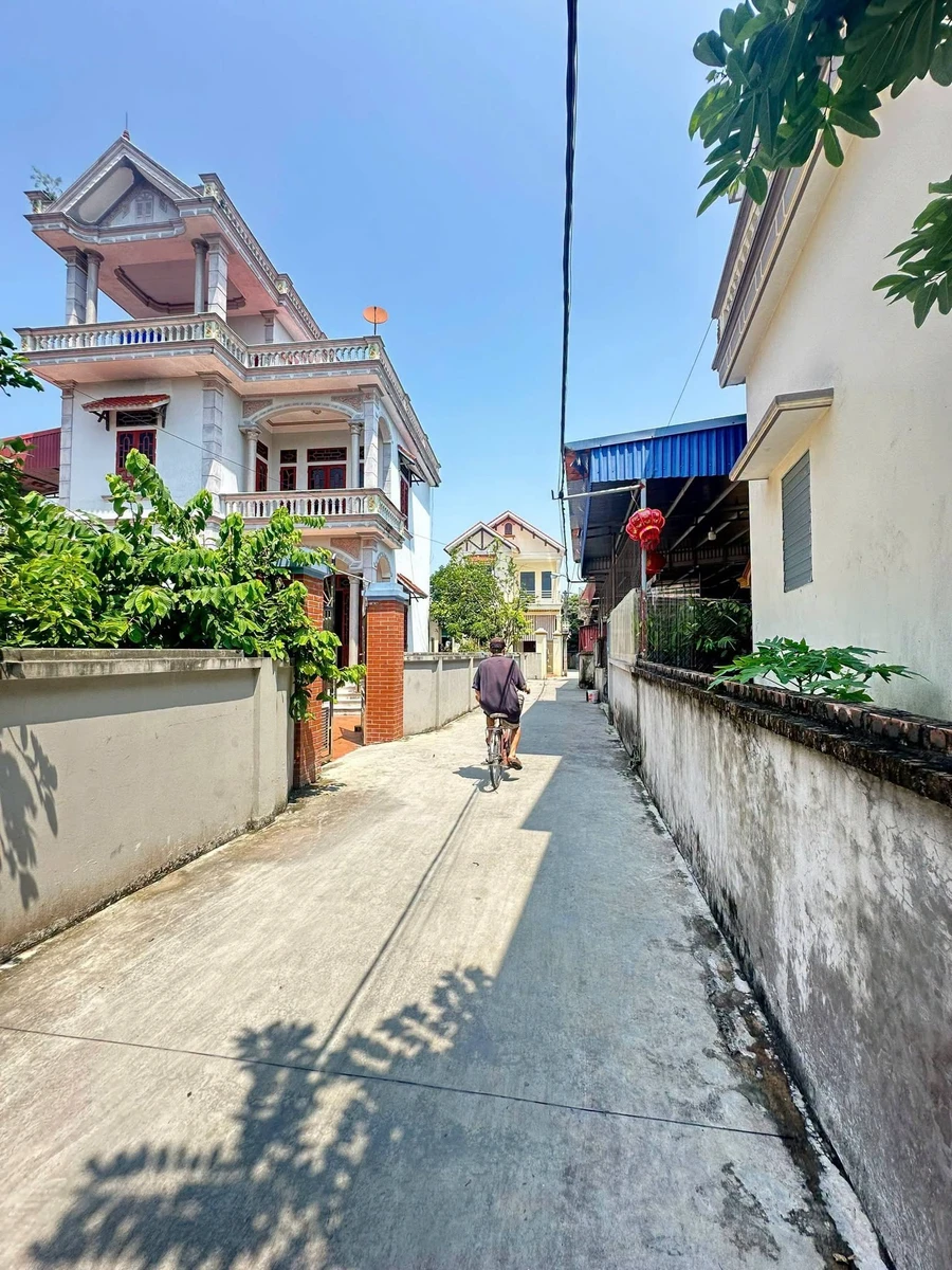 Bán đất Quang Minh Hải Phòng 90m² hơn 700 triệu - Ảnh thu nhỏ 4