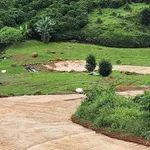 Bán đất 1ha Nguyễn Trãi, Bảo Lộc, giá 6,5 tỷ - Ảnh thu nhỏ 2