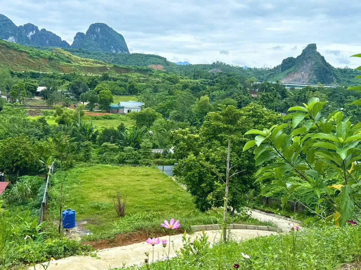 Bán đất view đồi núi 1386m² tại Lương Sơn Hoà Bình - Ảnh thu nhỏ 5