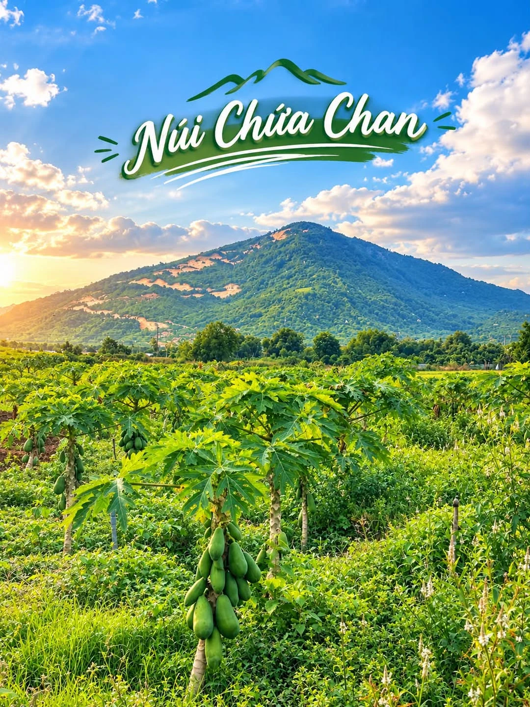 Bán đất Vườn Đu Đủ 1000m2 view núi, 350 triệu - Ảnh 1