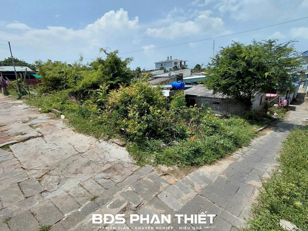 Bán đất Mũi Né 214.6m² mặt tiền, 2.5 tỷ - Ảnh thu nhỏ 2