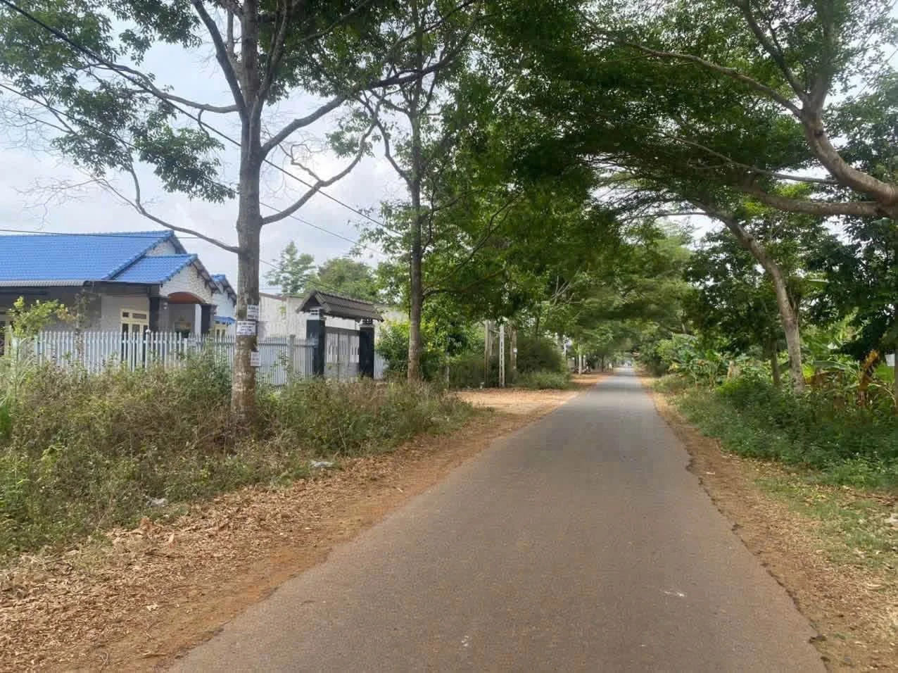 Bán lô đất 550m² mặt tiền hẻm Nguyễn Thái Bình, Tân Lập - Ảnh 1