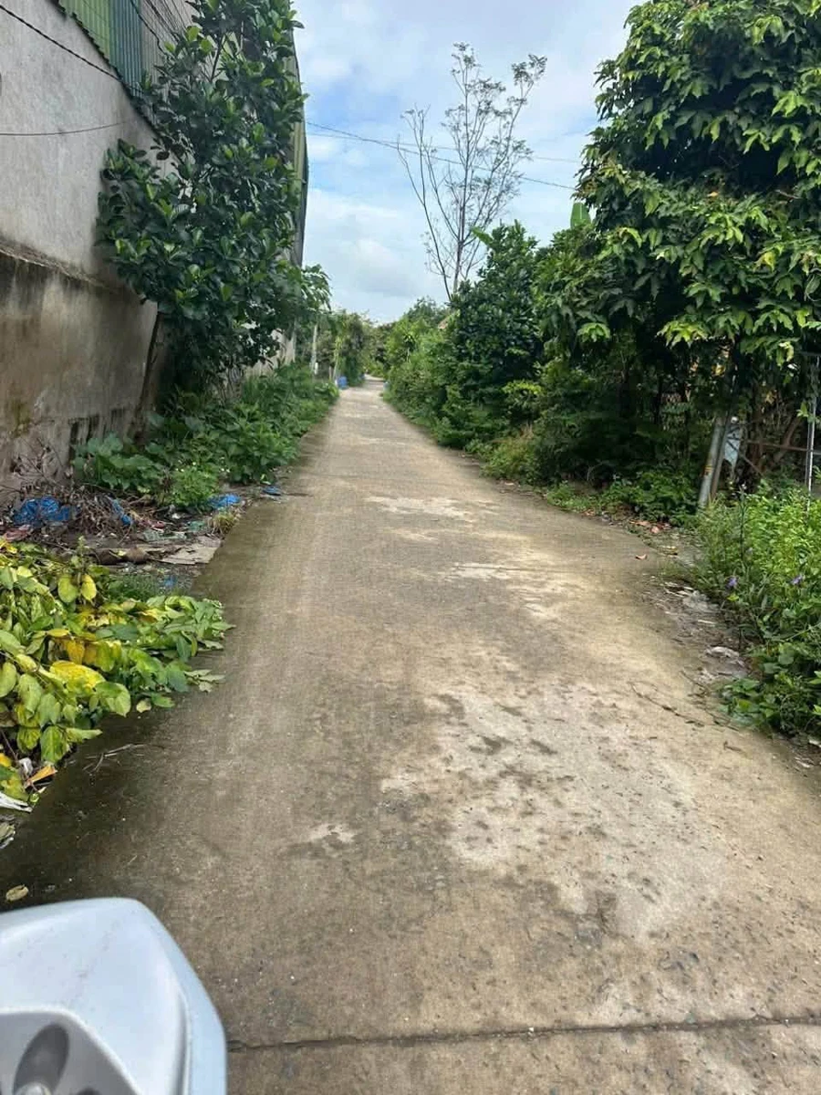 Bán đất Minh Hưng 100m² 830 triệu - Ảnh thu nhỏ 2