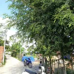 Bán đất thổ cư 5x32m mặt tiền đường bê tông giá 370 triệu tại Thanh Điền, Tây Ninh - Ảnh thu nhỏ 4