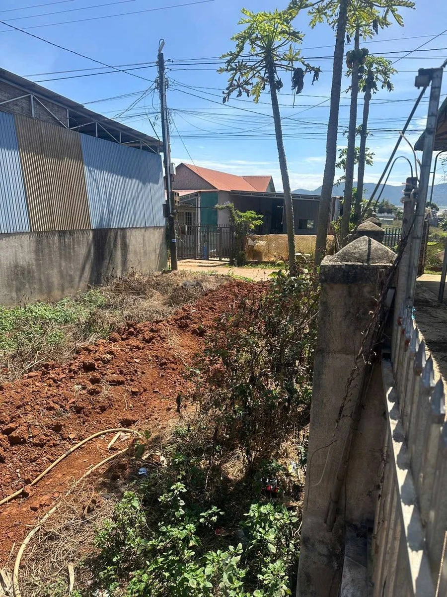 Bán đất Suối Thông C Đơn Dương Lâm Đồng 301m2 - Ảnh thu nhỏ 3