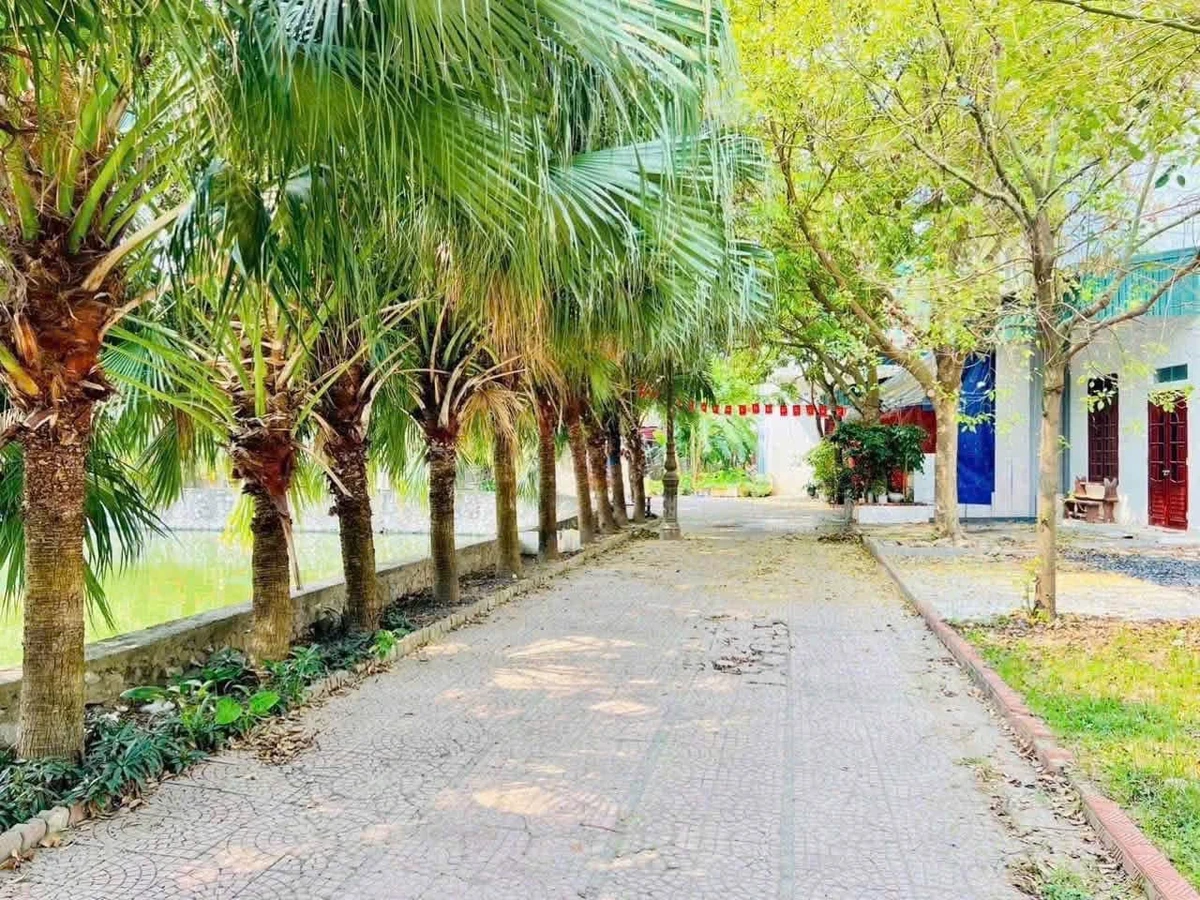 Bán lô đất 42m² view hồ Thanh Niên 1 tỷ - Ảnh thu nhỏ 2