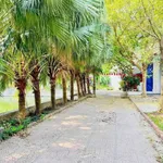 Bán lô đất 42m² view hồ Thanh Niên 1 tỷ - Ảnh thu nhỏ 2