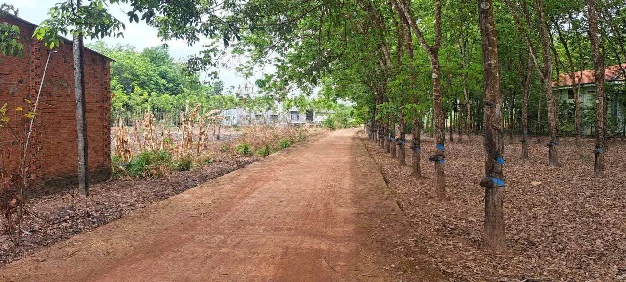 Bán đất Minh Thắng, 200m2, 390 triệu - Ảnh 1