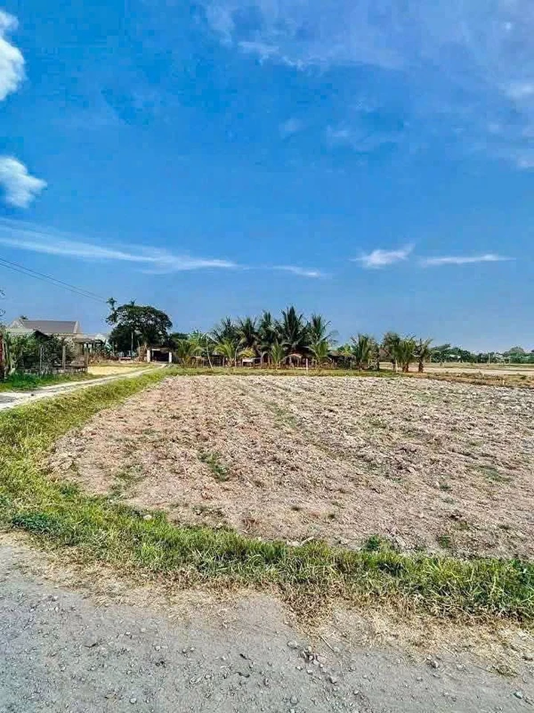 Bán nhà 2 phòng ngủ Tân Kim, Bình Tân 40m² 1,45 tỷ 8t200tr