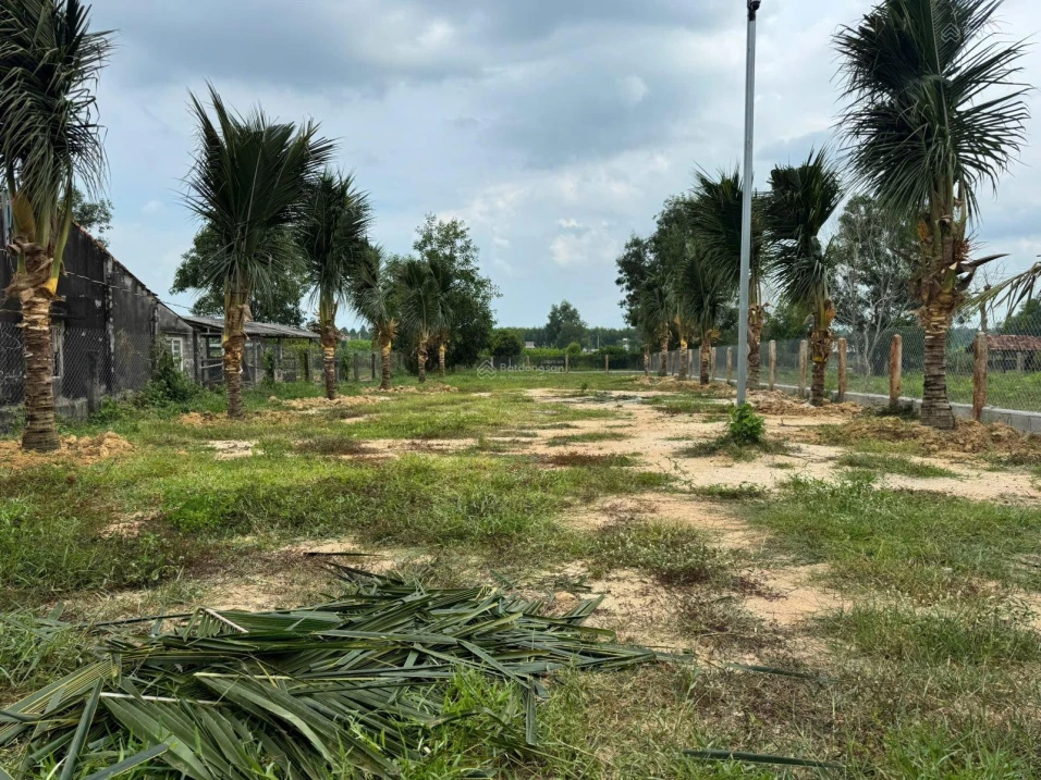 Bán lô đất Bông Trang diện tích: 675m² có 187m² thổ cư ngang 14mx50m đường nhựa, gần Quốc Lộ 55 - Ảnh thu nhỏ 4