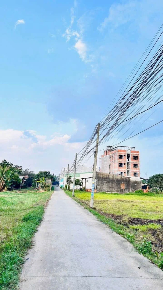 Bán đất thổ cư 11x75m (825m2) ngộp bank gần Vinhomes Hậu Nghĩa, giá 4,45 tỷ - Ảnh thu nhỏ 3
