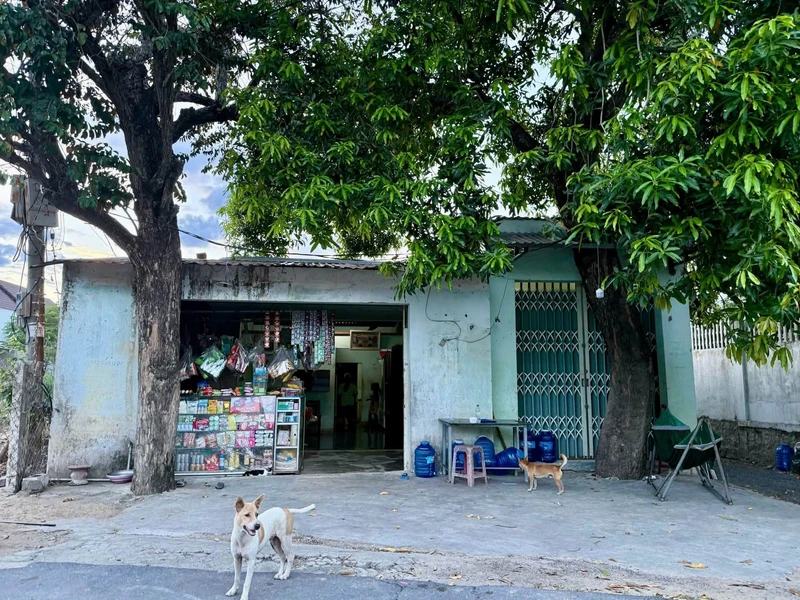 Bán đất mặt tiền đường Huỳnh Lý, 80m2 gần biển Quy Nhơn ndd226