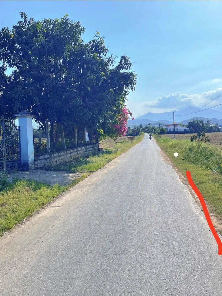 Bán lô đất Diên Xuân 776m² mặt tiền đường nhựa - Ảnh 1