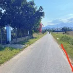 Bán lô đất Diên Xuân 776m² mặt tiền đường nhựa - Ảnh thu nhỏ 1