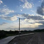 Bán đất 300m² Hàm Thuận Nam, Bình Thuận 499 triệu - Ảnh thu nhỏ 1